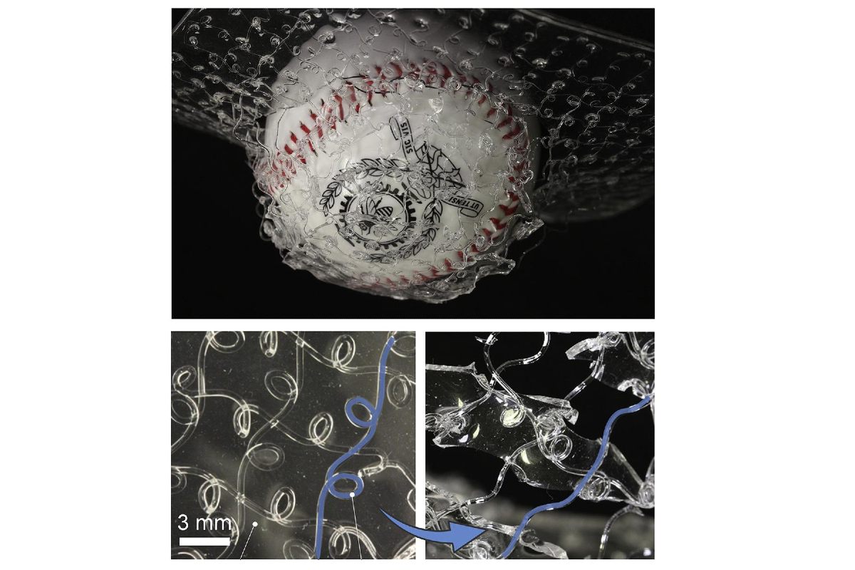 spiderweb images