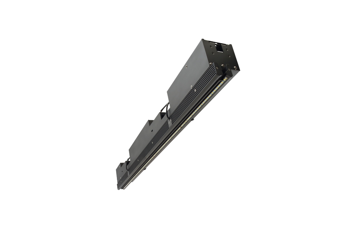 Teledyne DALSA