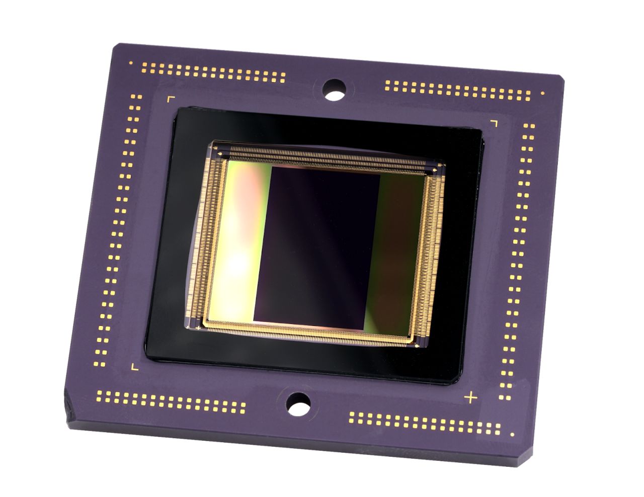 Sensor chip